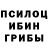 Псилоцибиновые грибы ЛСД Gusenicka Cowboy