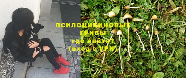 прущая мука Белокуриха